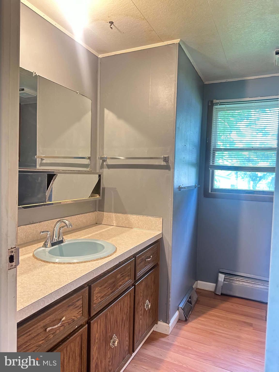 805 Baltimore Road Shippensburg, PA 17257 - Photo 19 of 23 a bathroom with a sink and a mirror