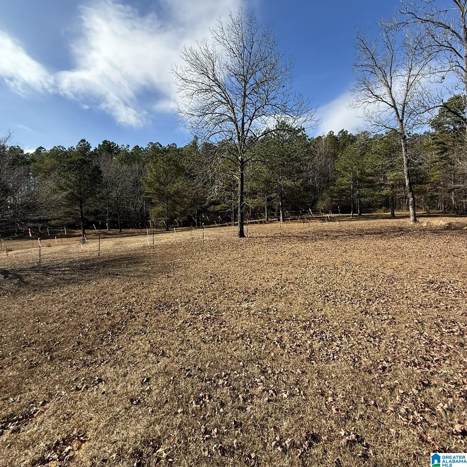 2170 County Highway 93 Hamilton, AL 35570 - Photo 24 of 25