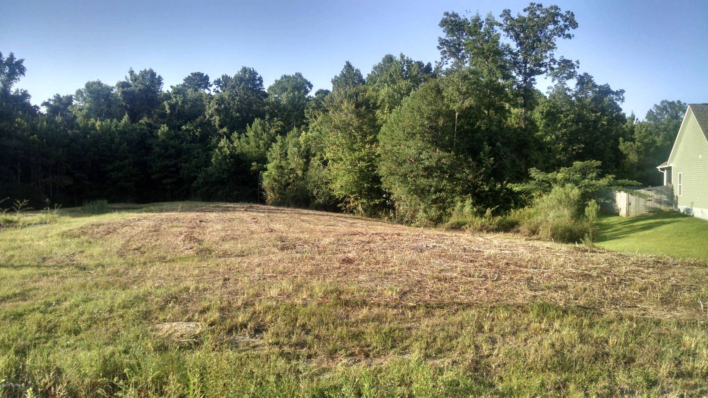 107 Ridge View Drive Jacksonville, NC 28540 - Photo 3 of 5 IMG_20170726_184555428_HDR