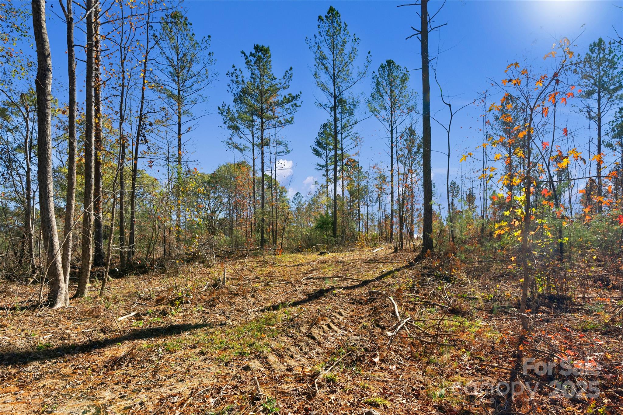 0 Tom Joye Road, Unit 3 Clover, SC 29710 - Photo 13 of 30 Gallery Image 13