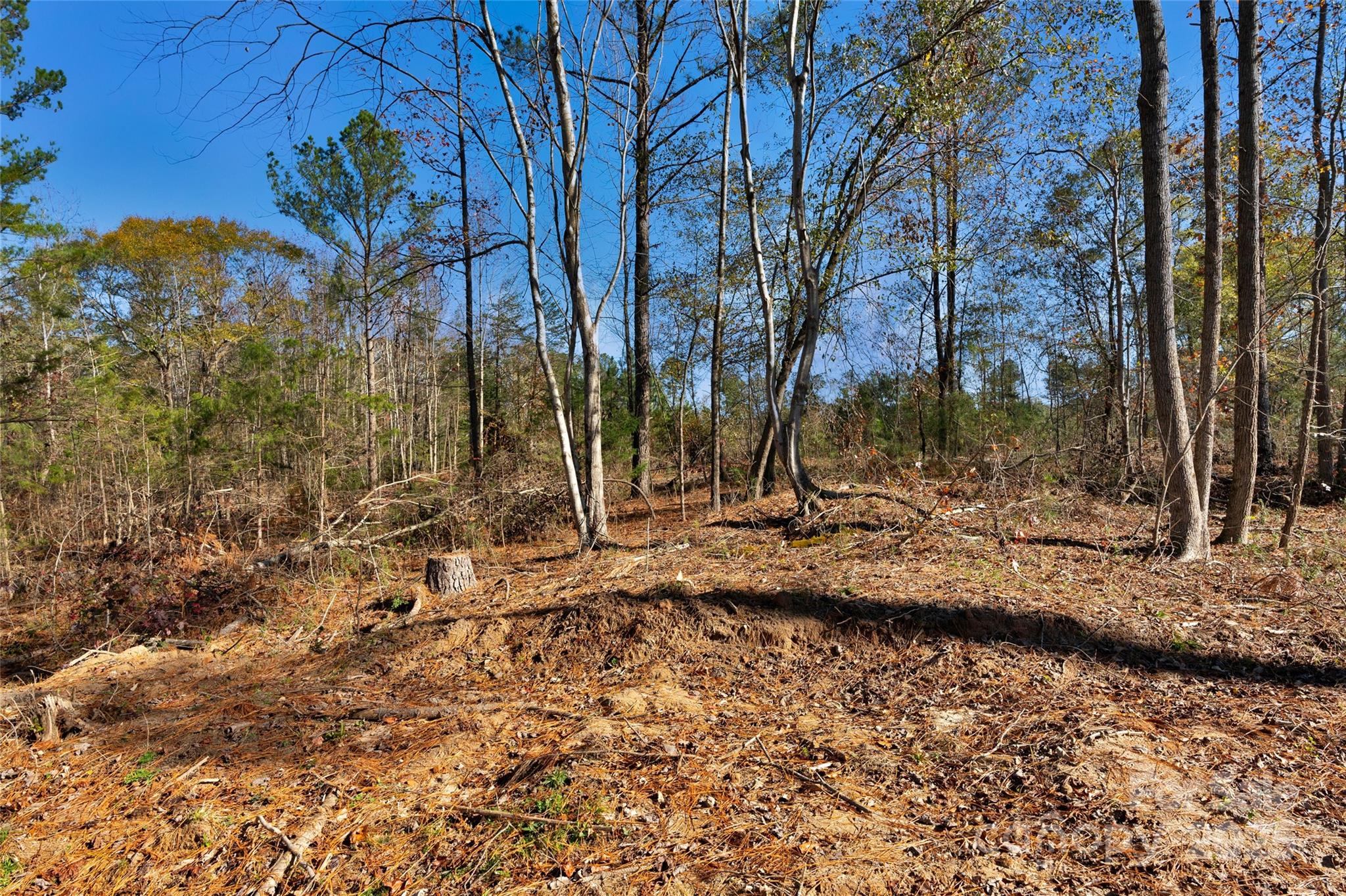 0 Tom Joye Road, Unit 3 Clover, SC 29710 - Photo 14 of 30 Gallery Image 14