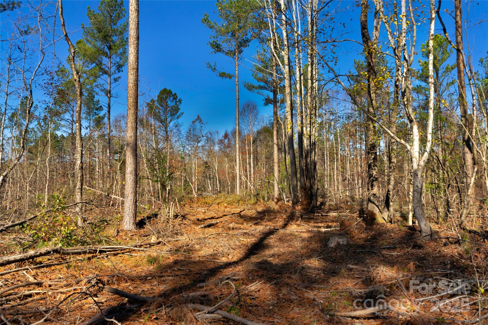 0 Tom Joye Road, Unit 3 Clover, SC 29710 - Photo 15 of 30 Gallery Image 15