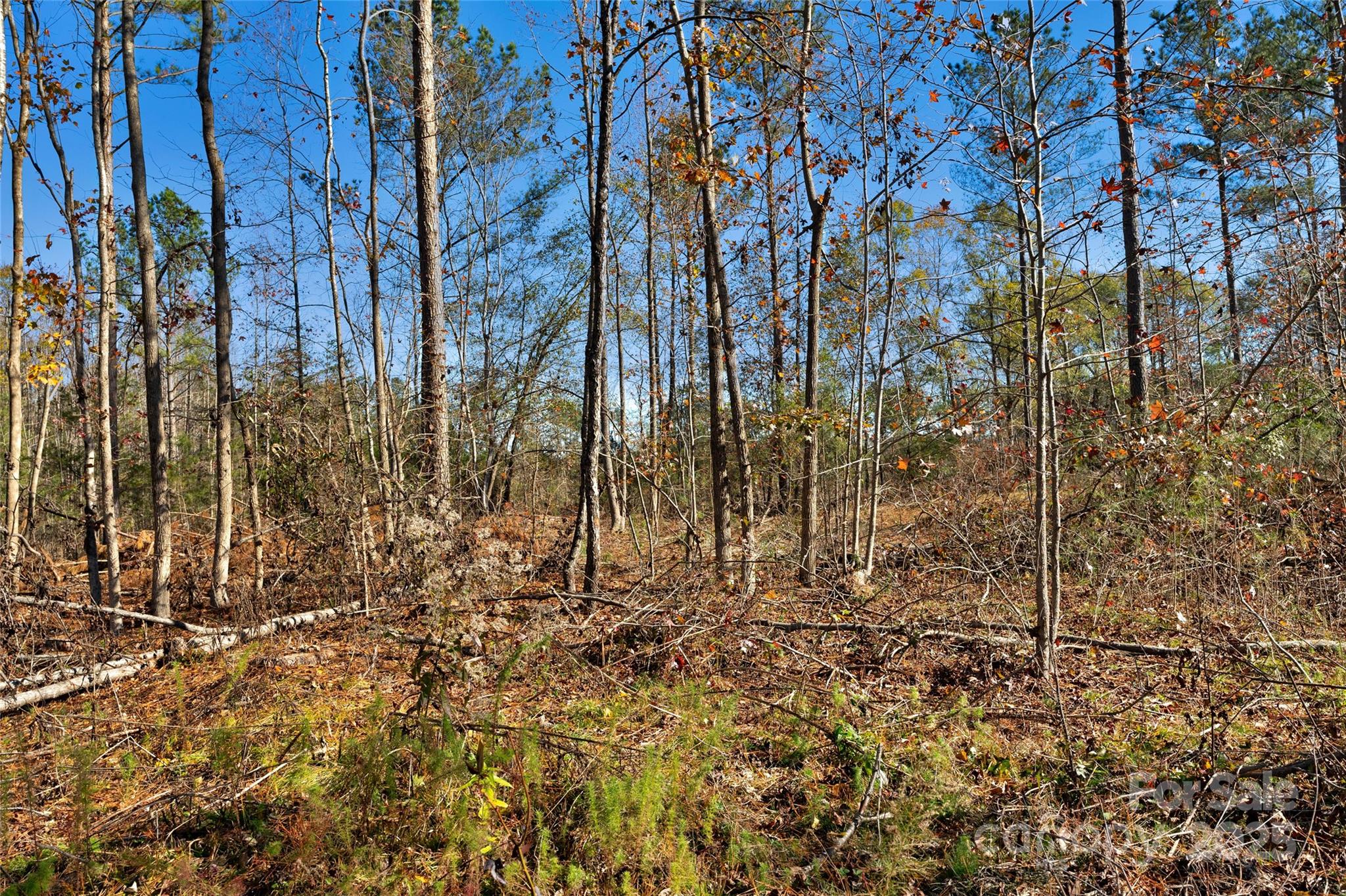 0 Tom Joye Road, Unit 3 Clover, SC 29710 - Photo 16 of 30 Gallery Image 16