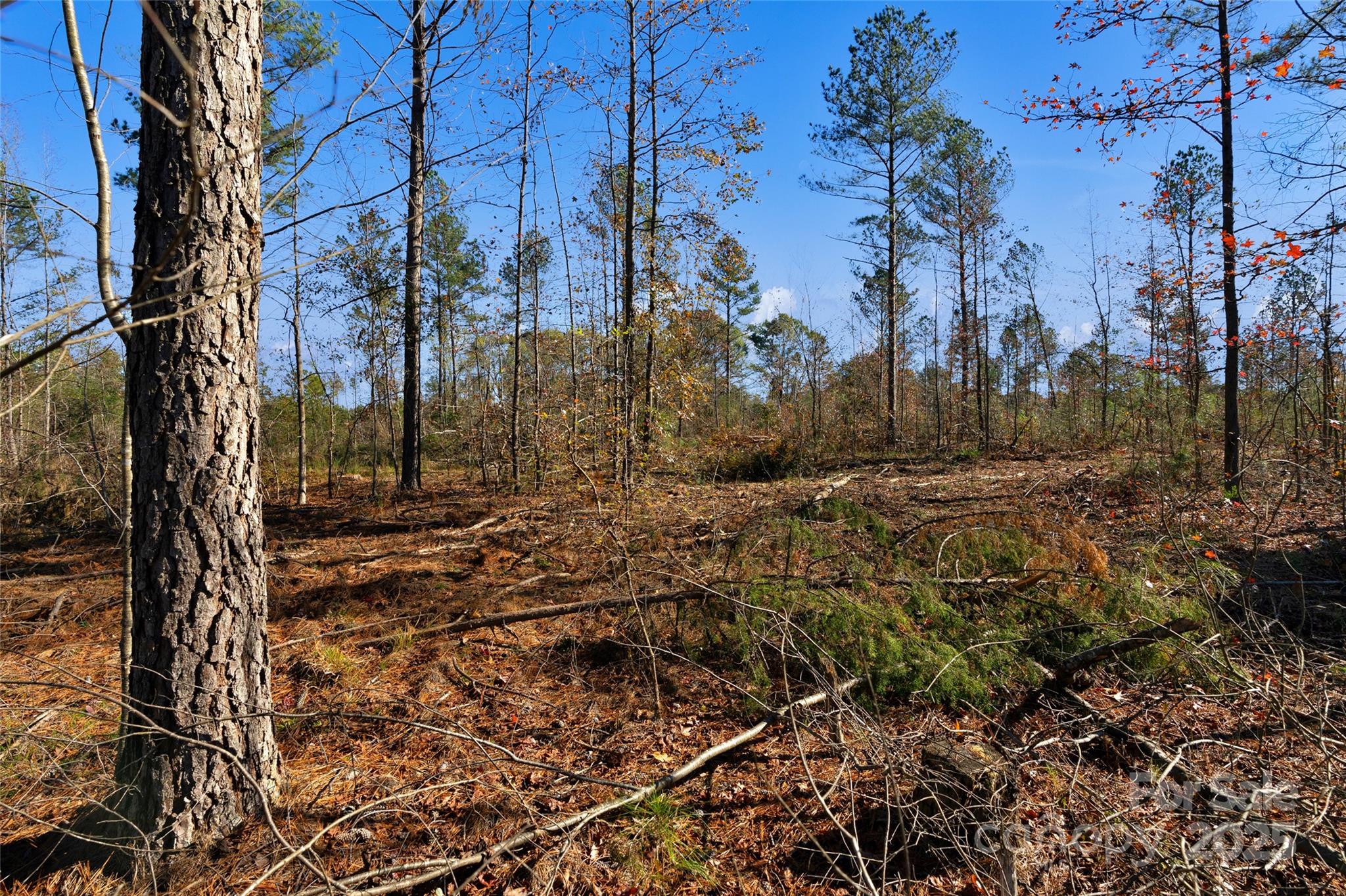 0 Tom Joye Road, Unit 3 Clover, SC 29710 - Photo 17 of 30 Gallery Image 17