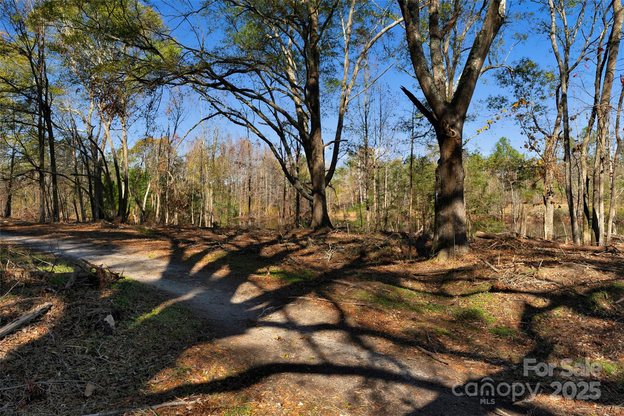 0 Tom Joye Road, Unit 3 Clover, SC 29710 - Photo 18 of 30 Gallery Image 18
