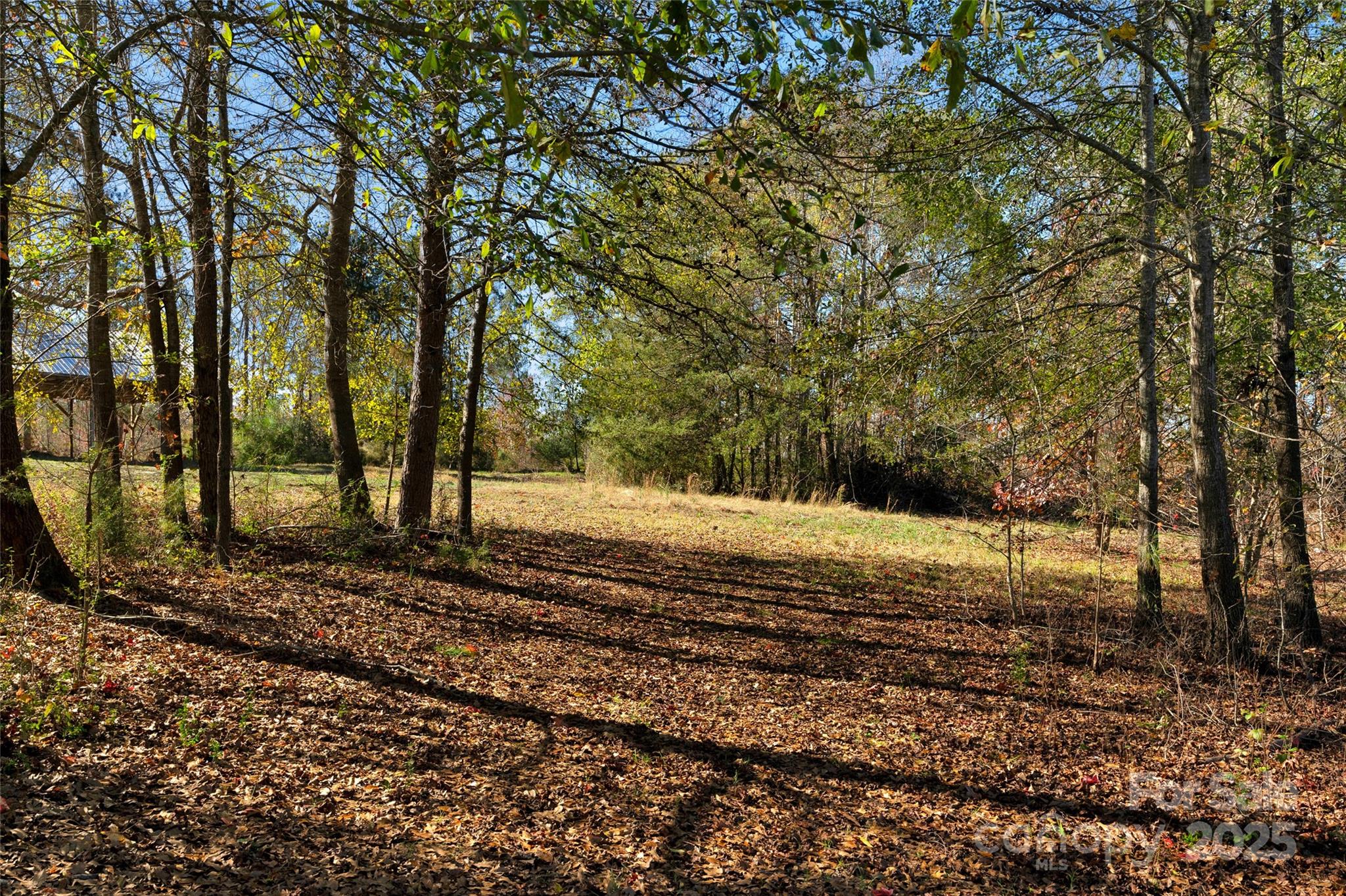 0 Tom Joye Road, Unit 3 Clover, SC 29710 - Photo 22 of 30 Gallery Image 22