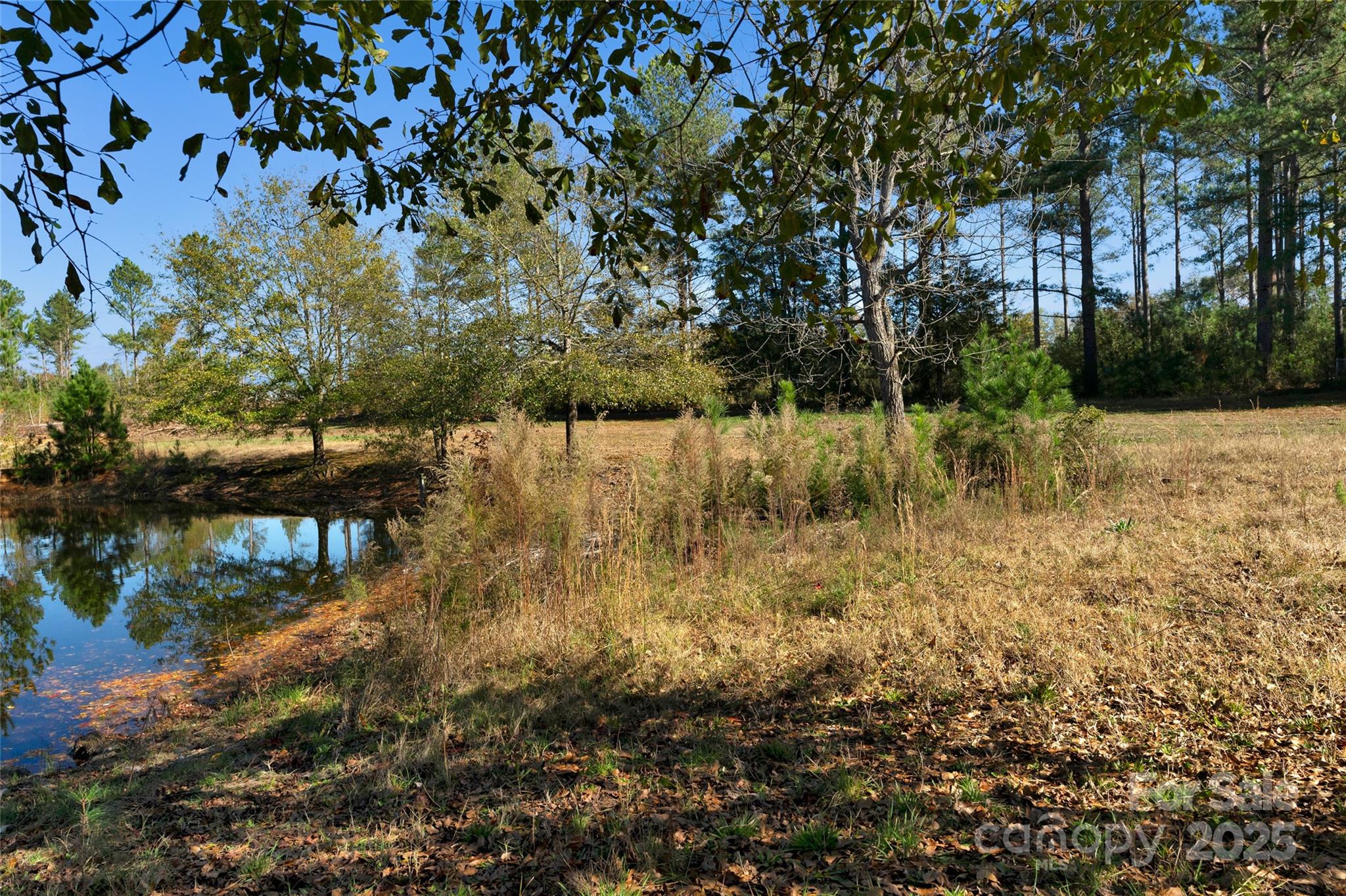 0 Tom Joye Road, Unit 3 Clover, SC 29710 - Photo 23 of 30 Gallery Image 23