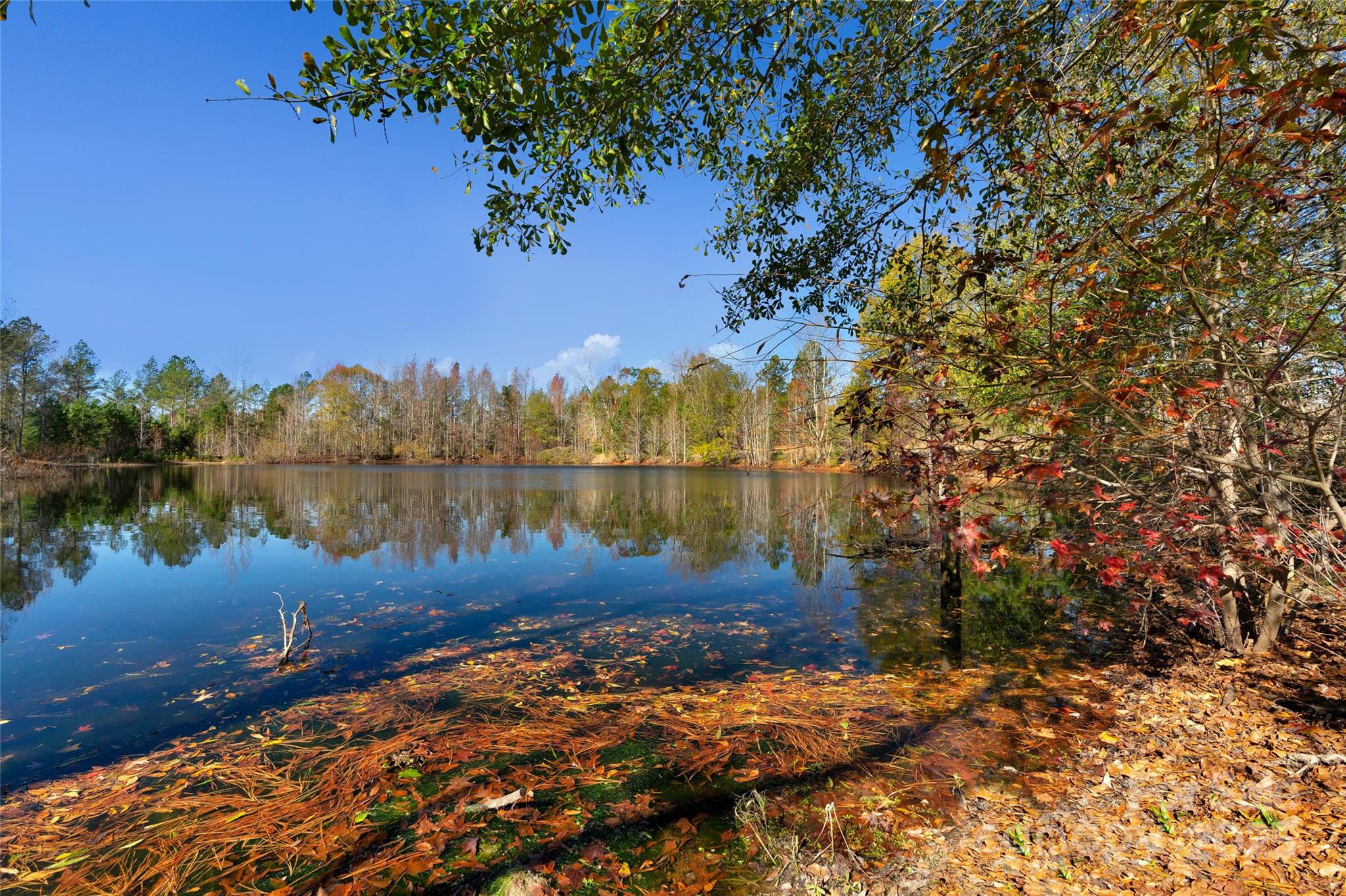 0 Tom Joye Road, Unit 3 Clover, SC 29710 - Photo 24 of 30 Gallery Image 24