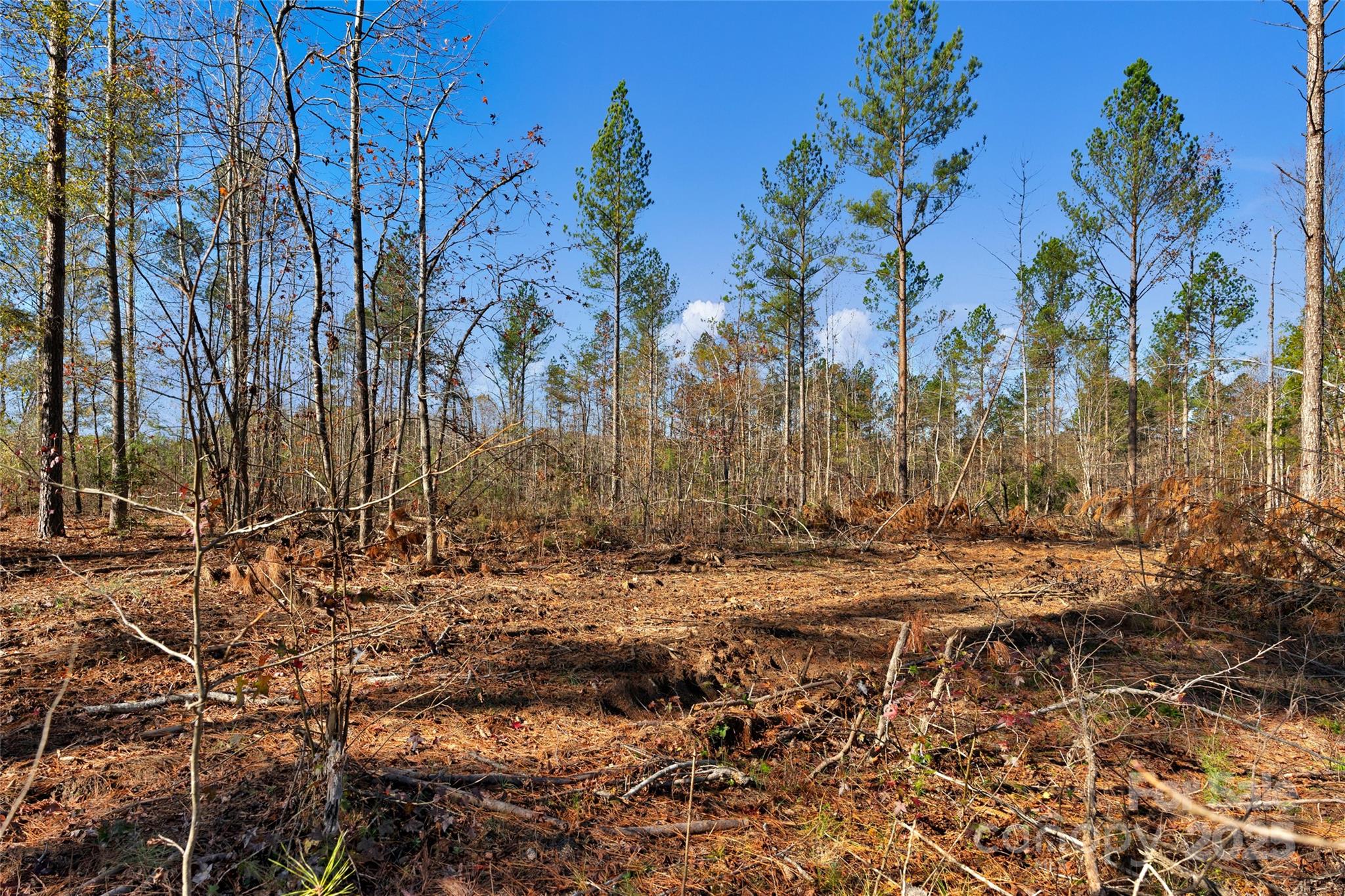 0 Tom Joye Road, Unit 3 Clover, SC 29710 - Photo 4 of 30 Gallery Image 4