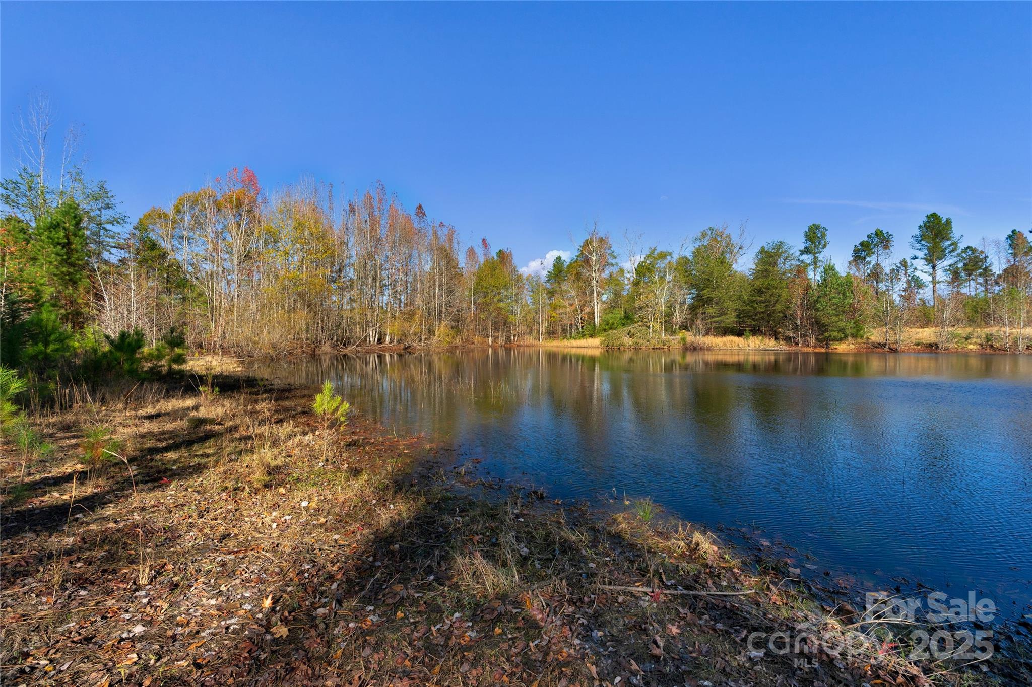 0 Tom Joye Road, Unit 3 Clover, SC 29710 - Photo 6 of 30 Gallery Image 6