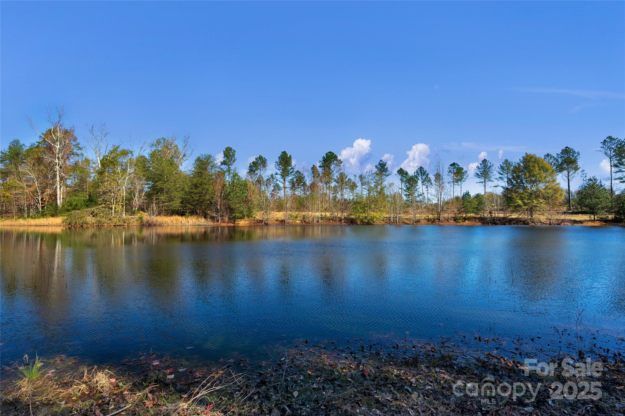 0 Tom Joye Road, Unit 3 Clover, SC 29710 - Photo 7 of 30 Gallery Image 7