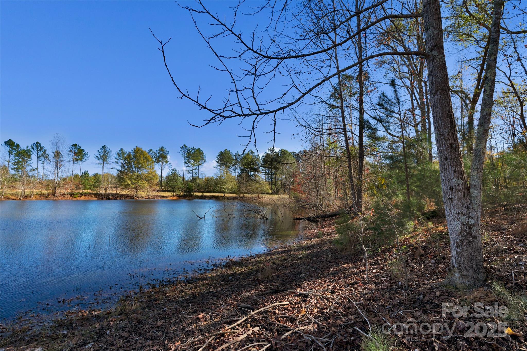 0 Tom Joye Road, Unit 3 Clover, SC 29710 - Photo 8 of 30 Gallery Image 8