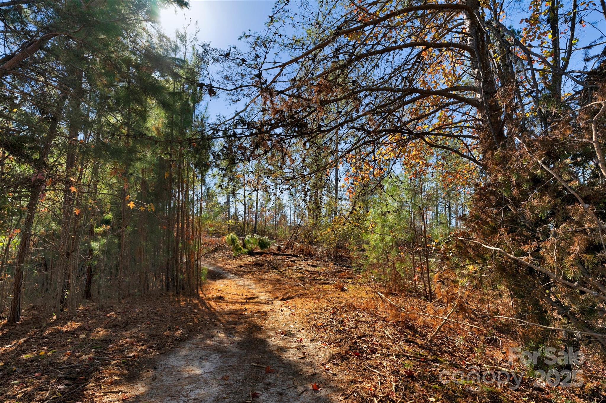 0 Tom Joye Road, Unit 3 Clover, SC 29710 - Photo 9 of 30 Gallery Image 9