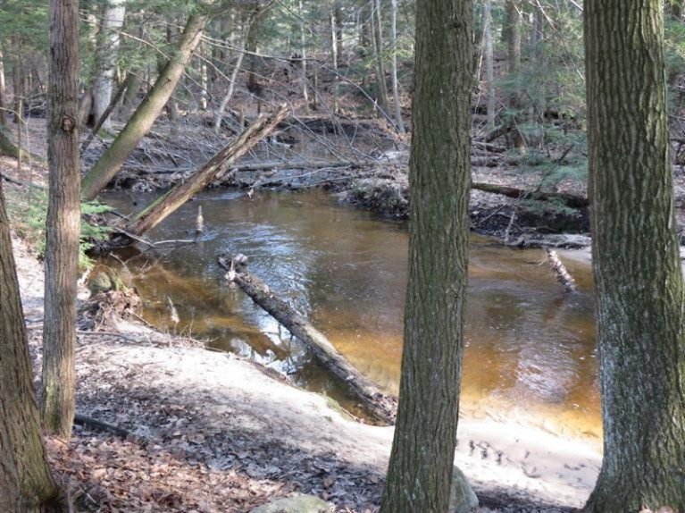 2720 East Arthur Road Rothbury, MI 49452 - Photo 21 of 24 Additional Photo