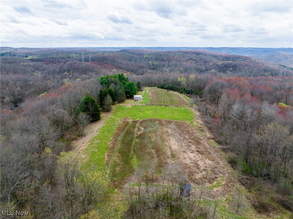 Oak Ridge Road Wellsville, OH 43968 - Photo 15 of 45 Aerial view featuring a wooded view