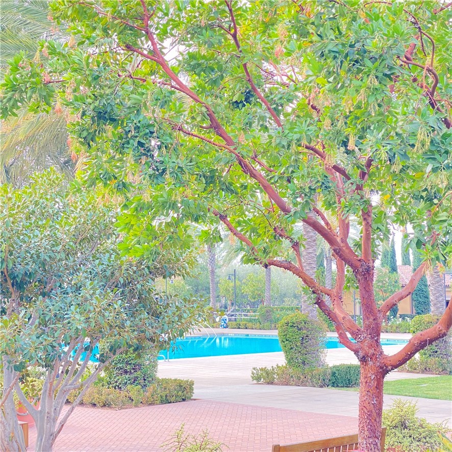 115 Waterleaf Irvine, CA 92620 - Photo 22 of 24