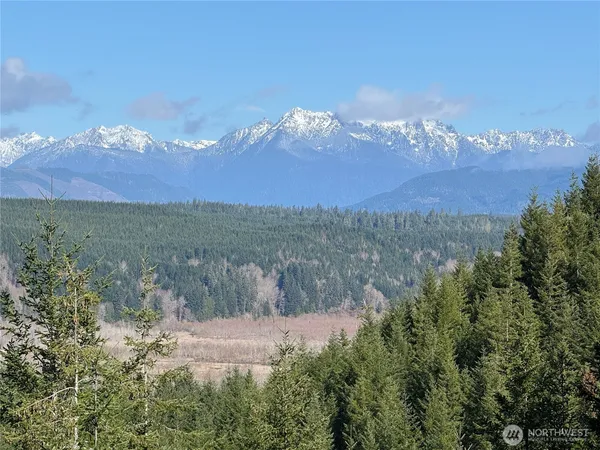 $120,000 | 151 East Amy Court, Shelton, WA 98584