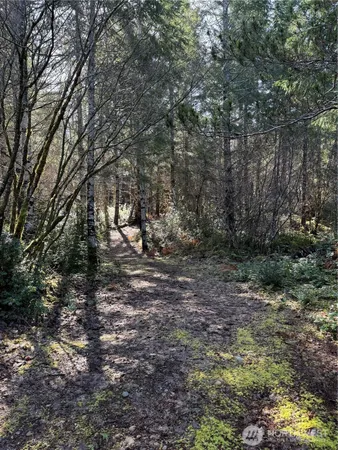 $120,000 | 151 East Amy Court, Shelton, WA 98584