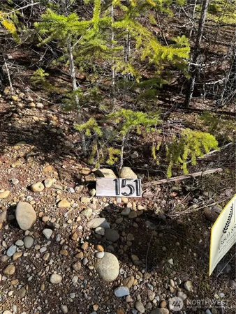 $120,000 | 151 East Amy Court, Shelton, WA 98584