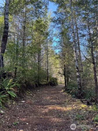 $120,000 | 151 East Amy Court, Shelton, WA 98584