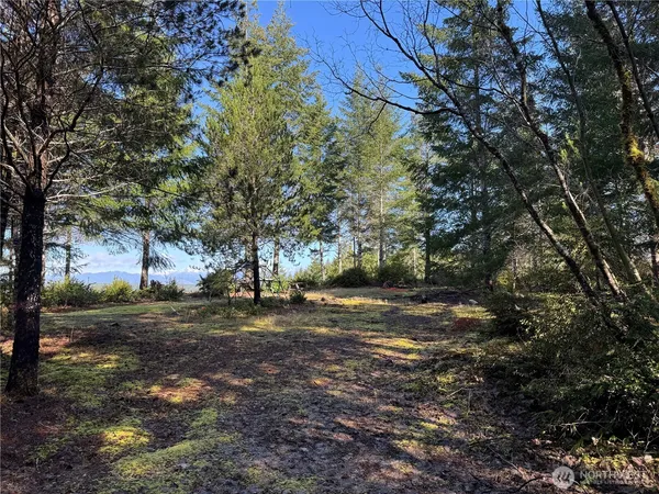 $120,000 | 151 East Amy Court, Shelton, WA 98584