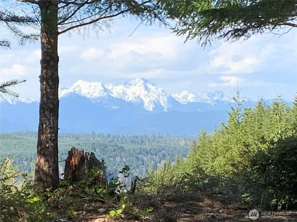 $120,000 | 151 East Amy Court, Shelton, WA 98584