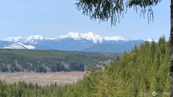 $120,000 | 151 East Amy Court, Shelton, WA 98584