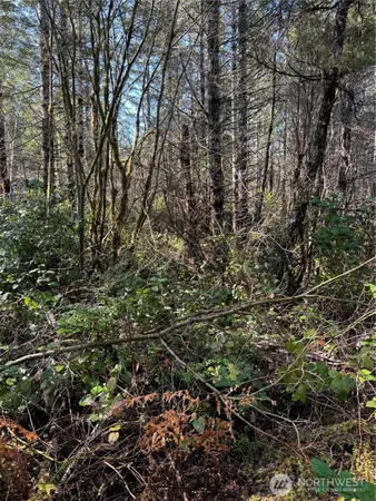 $120,000 | 151 East Amy Court, Shelton, WA 98584