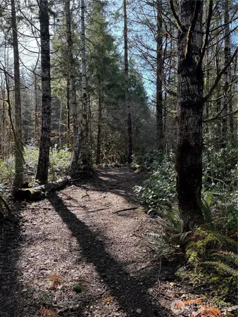 $120,000 | 151 East Amy Court, Shelton, WA 98584