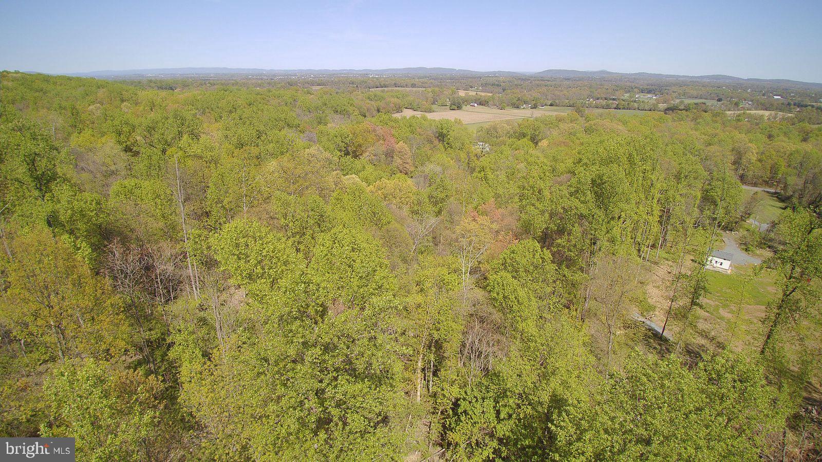 13477 Mountain Road Lovettsville, VA 20180 - Photo 15 of 16 a view of lake and mountain