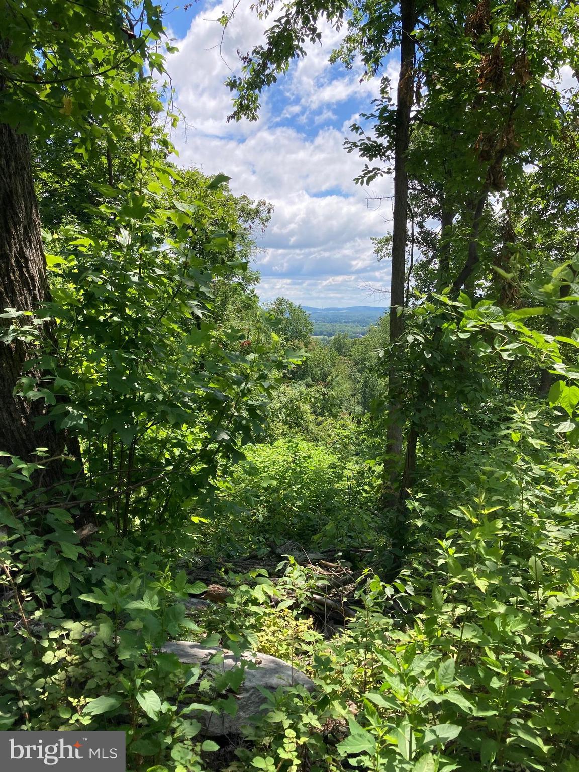 13477 Mountain Road Lovettsville, VA 20180 - Photo 5 of 16 a view of a garden