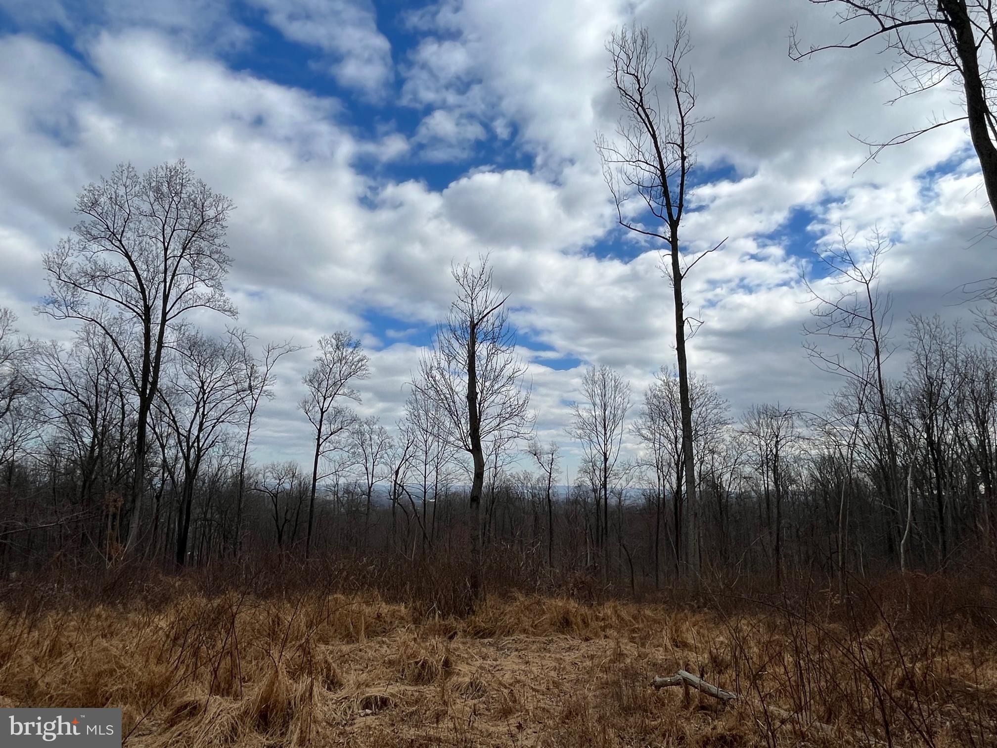 13477 Mountain Road Lovettsville, VA 20180 - Photo 9 of 16 a view of lake