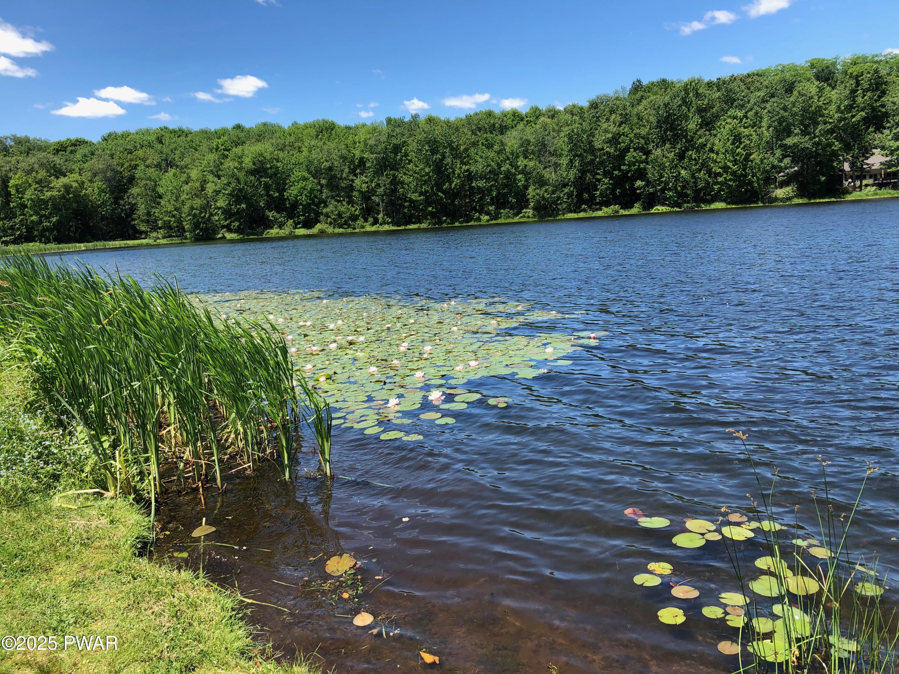 753 Deerfield Road Lake Ariel, PA 18436 - Photo 87 of 147