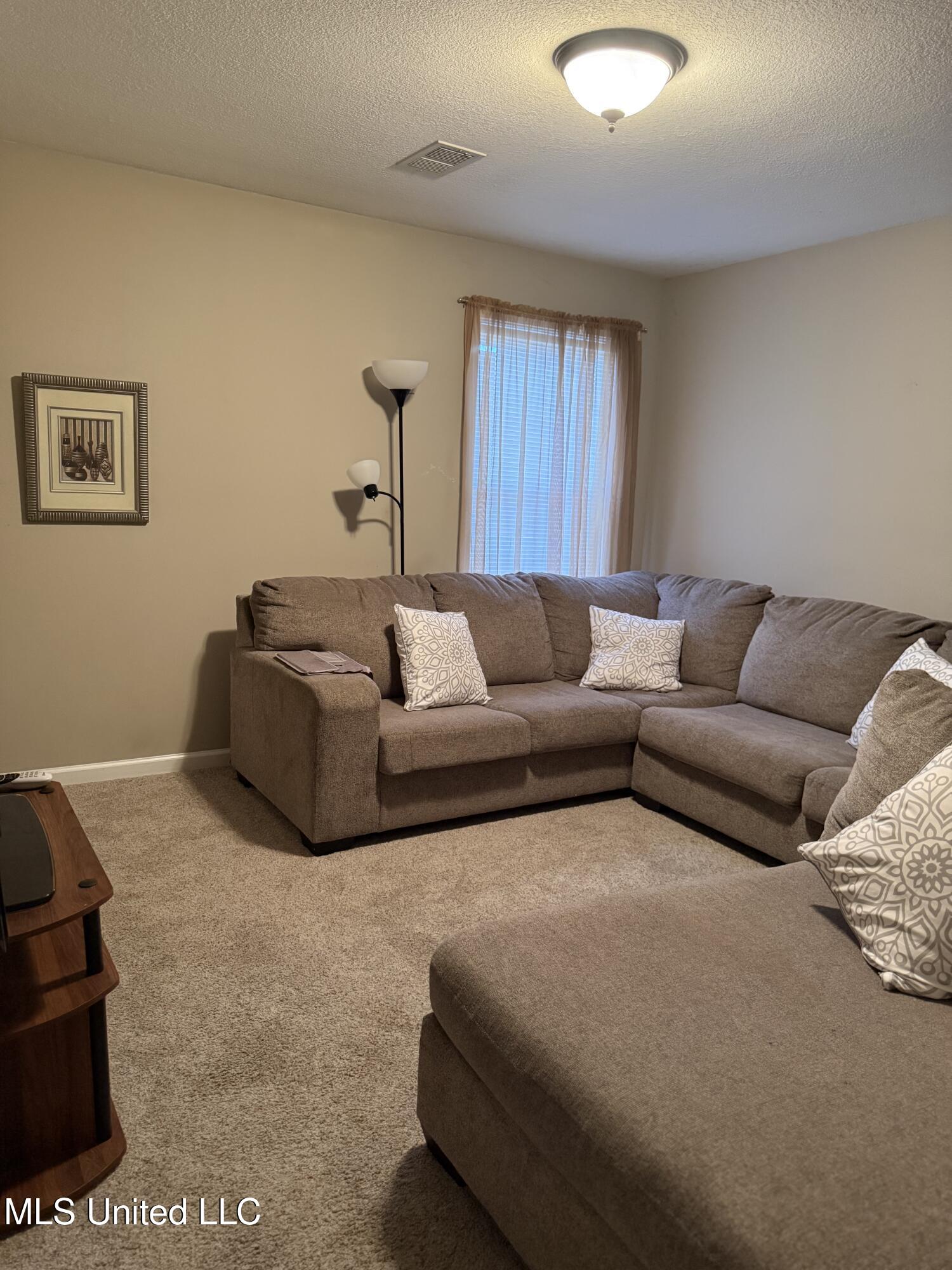 7049 Windswept Lane Olive Branch, MS 38654 - Photo 39 of 59 IMG_1353