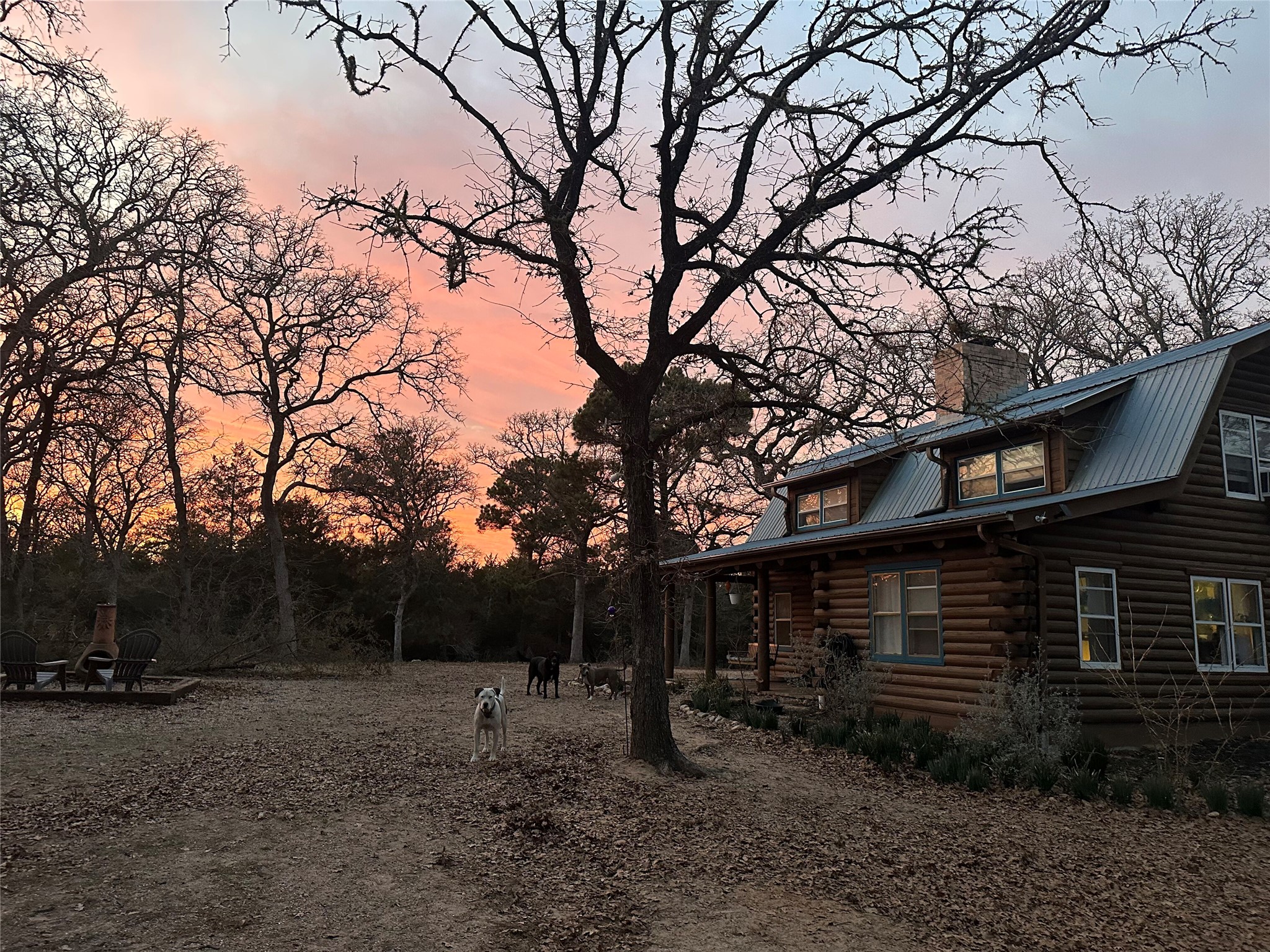1053 East County Rd F Lexington, TX 78947 - Photo 3 of 38 a view of house with trees in the background
