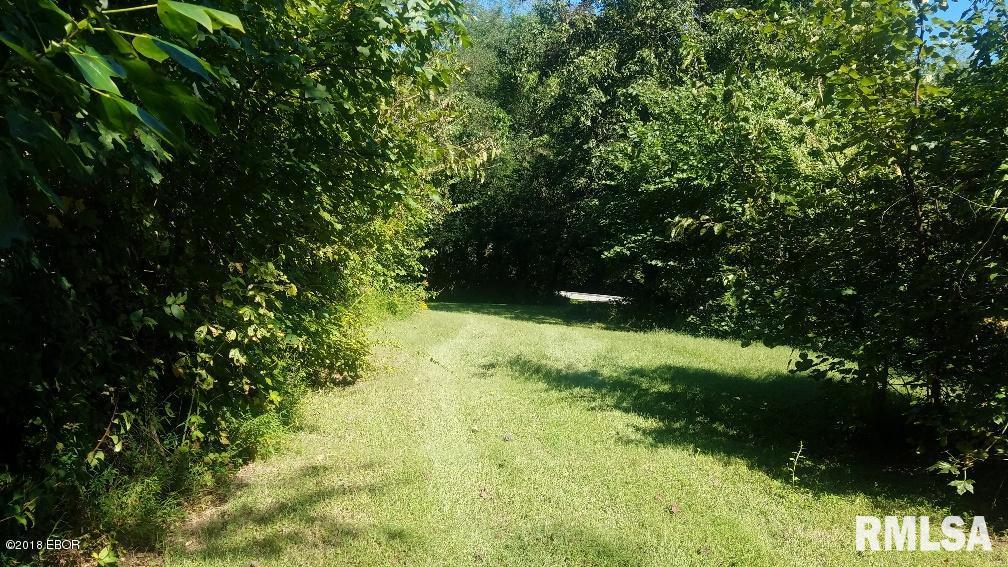 1599 Shiloh Road Villa Ridge, IL 62996 - Photo 1 of 8