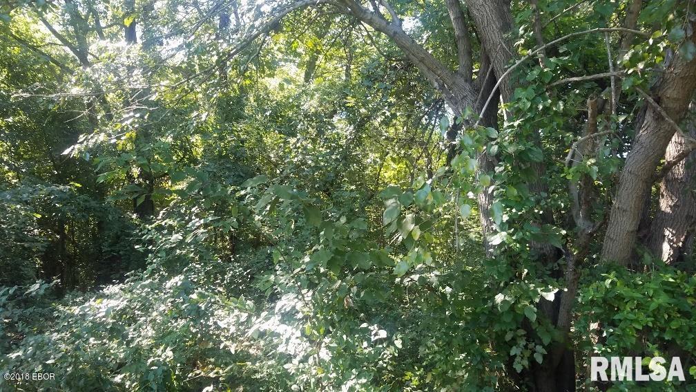 1599 Shiloh Road Villa Ridge, IL 62996 - Photo 2 of 8