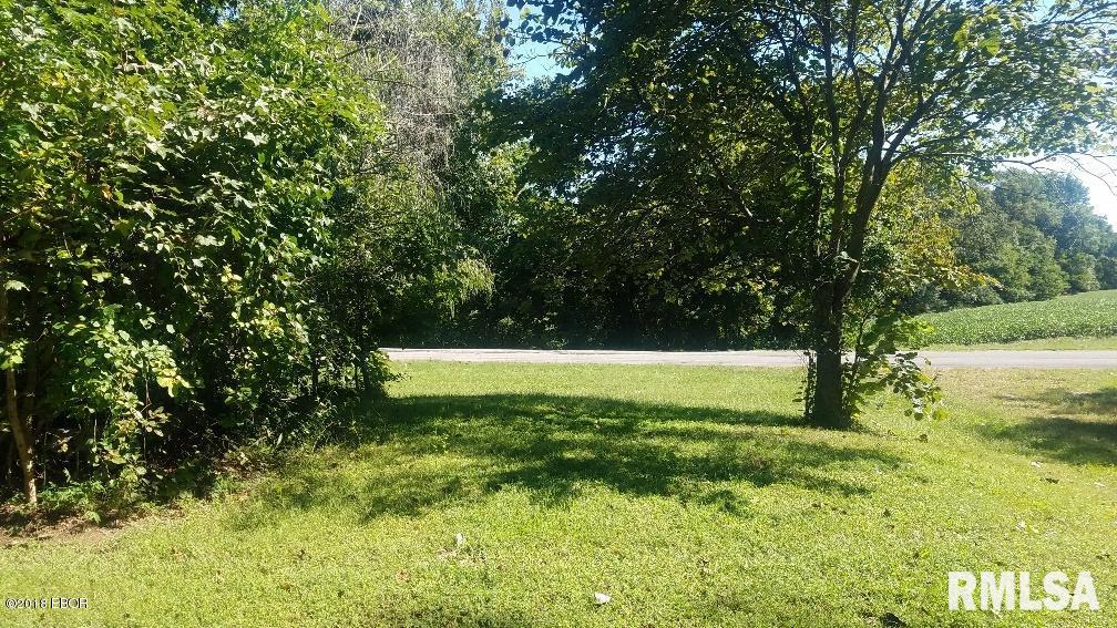 1599 Shiloh Road Villa Ridge, IL 62996 - Photo 4 of 8