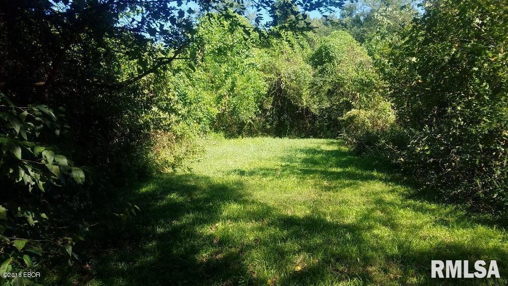 1599 Shiloh Road Villa Ridge, IL 62996 - Photo 5 of 8