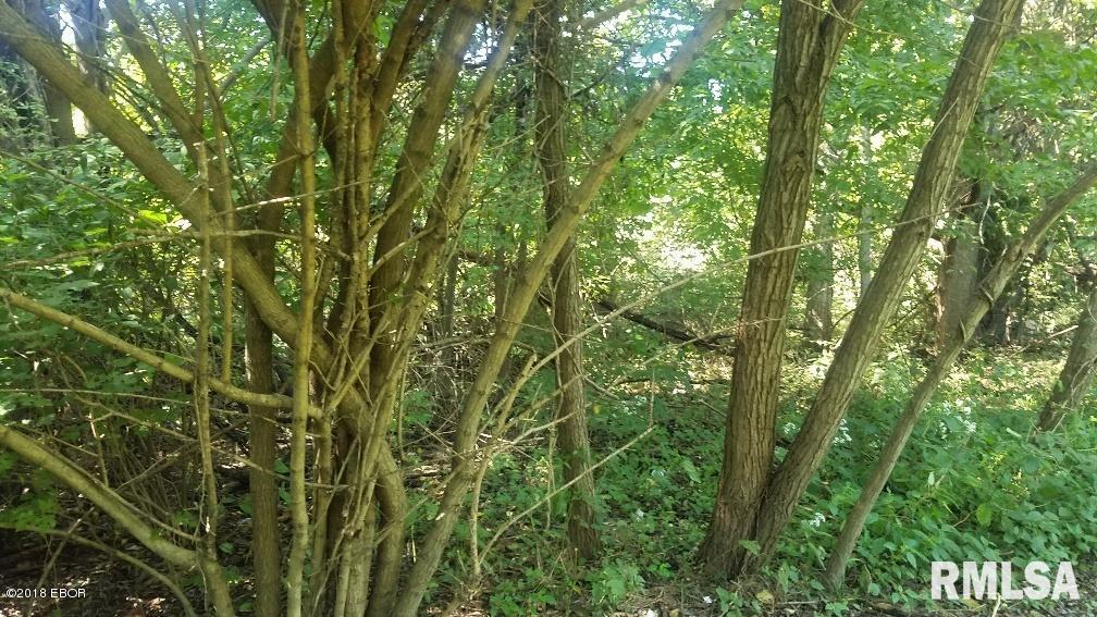 1599 Shiloh Road Villa Ridge, IL 62996 - Photo 6 of 8