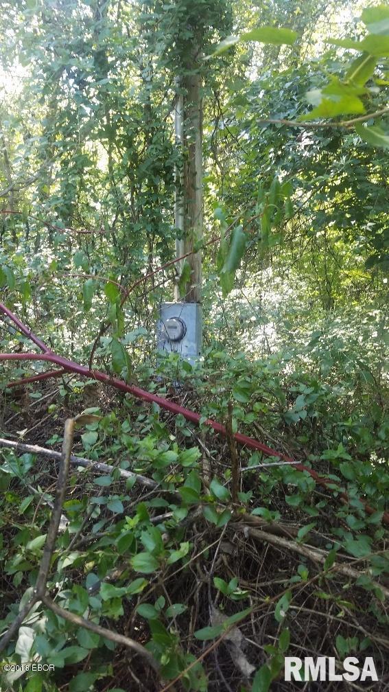 1599 Shiloh Road Villa Ridge, IL 62996 - Photo 7 of 8