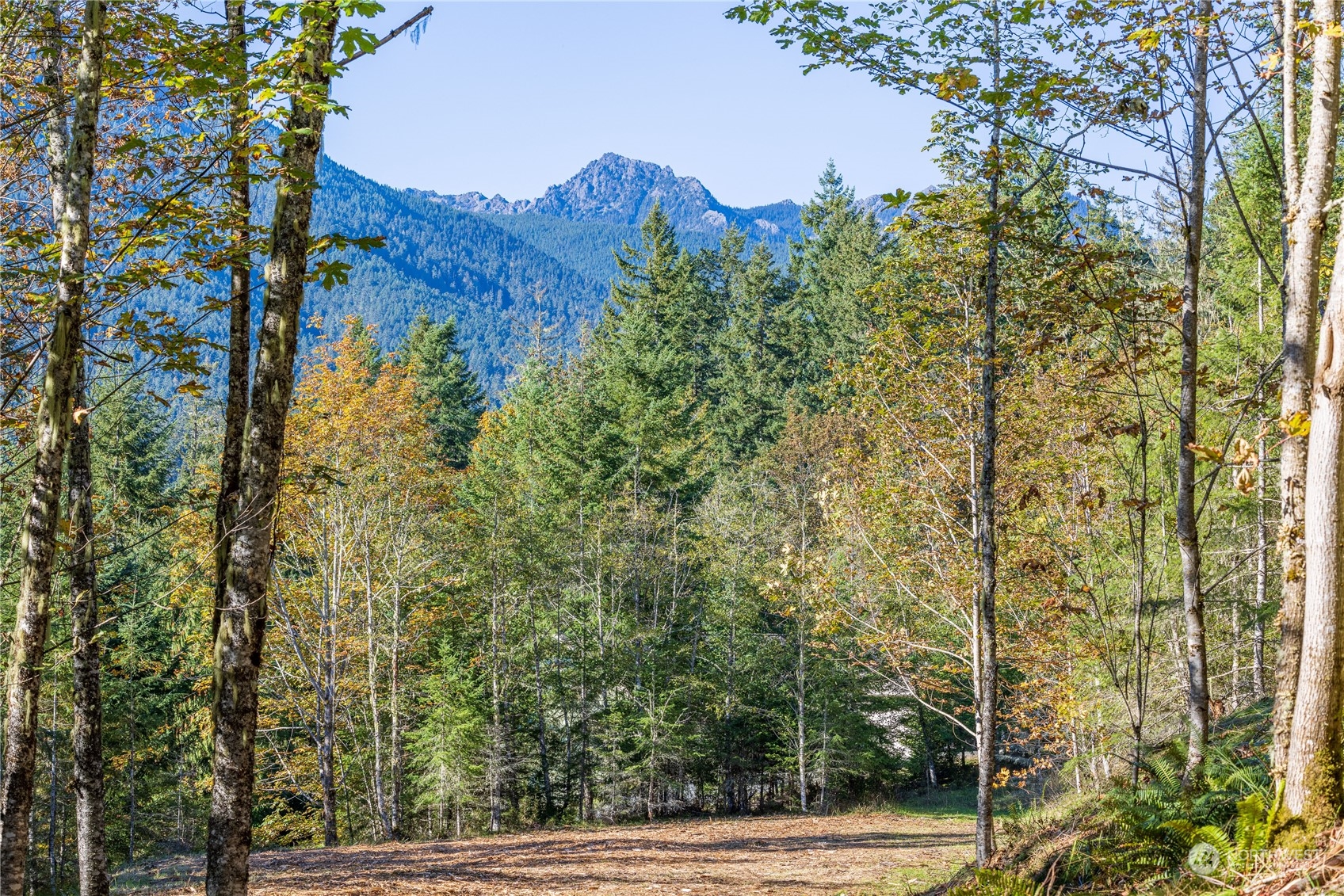 -nka Mt Pleasant Road Port Angeles, WA 98362 - Photo 1 of 31 Gallery Image 1