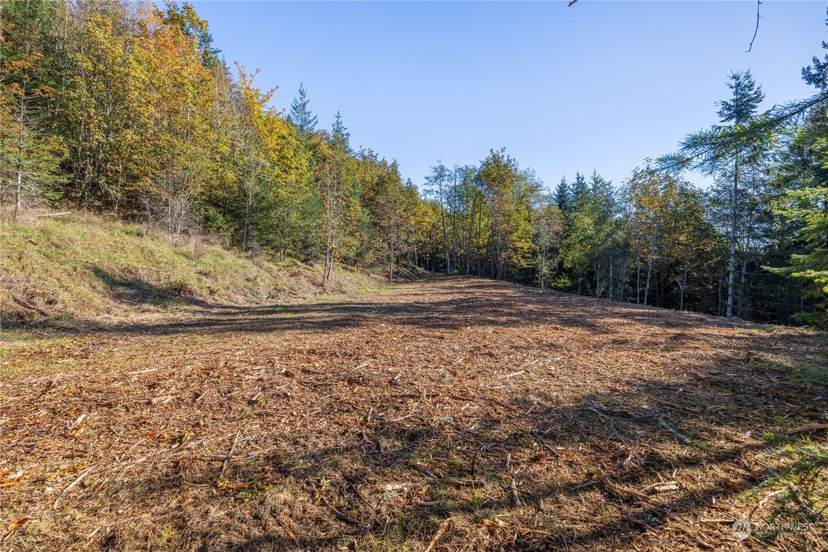 -nka Mt Pleasant Road Port Angeles, WA 98362 - Photo 12 of 31 Gallery Image 12