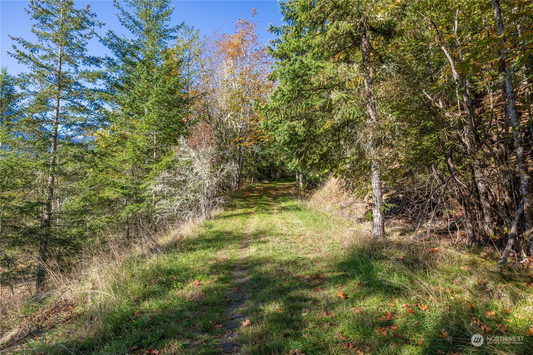 -nka Mt Pleasant Road Port Angeles, WA 98362 - Photo 19 of 31 Gallery Image 19
