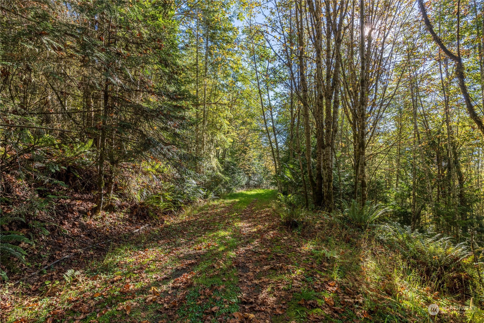 -nka Mt Pleasant Road Port Angeles, WA 98362 - Photo 22 of 31 Gallery Image 22