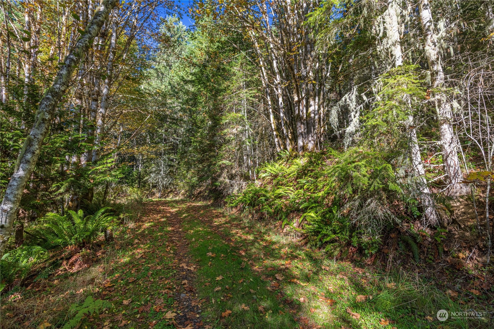-nka Mt Pleasant Road Port Angeles, WA 98362 - Photo 24 of 31 Gallery Image 24