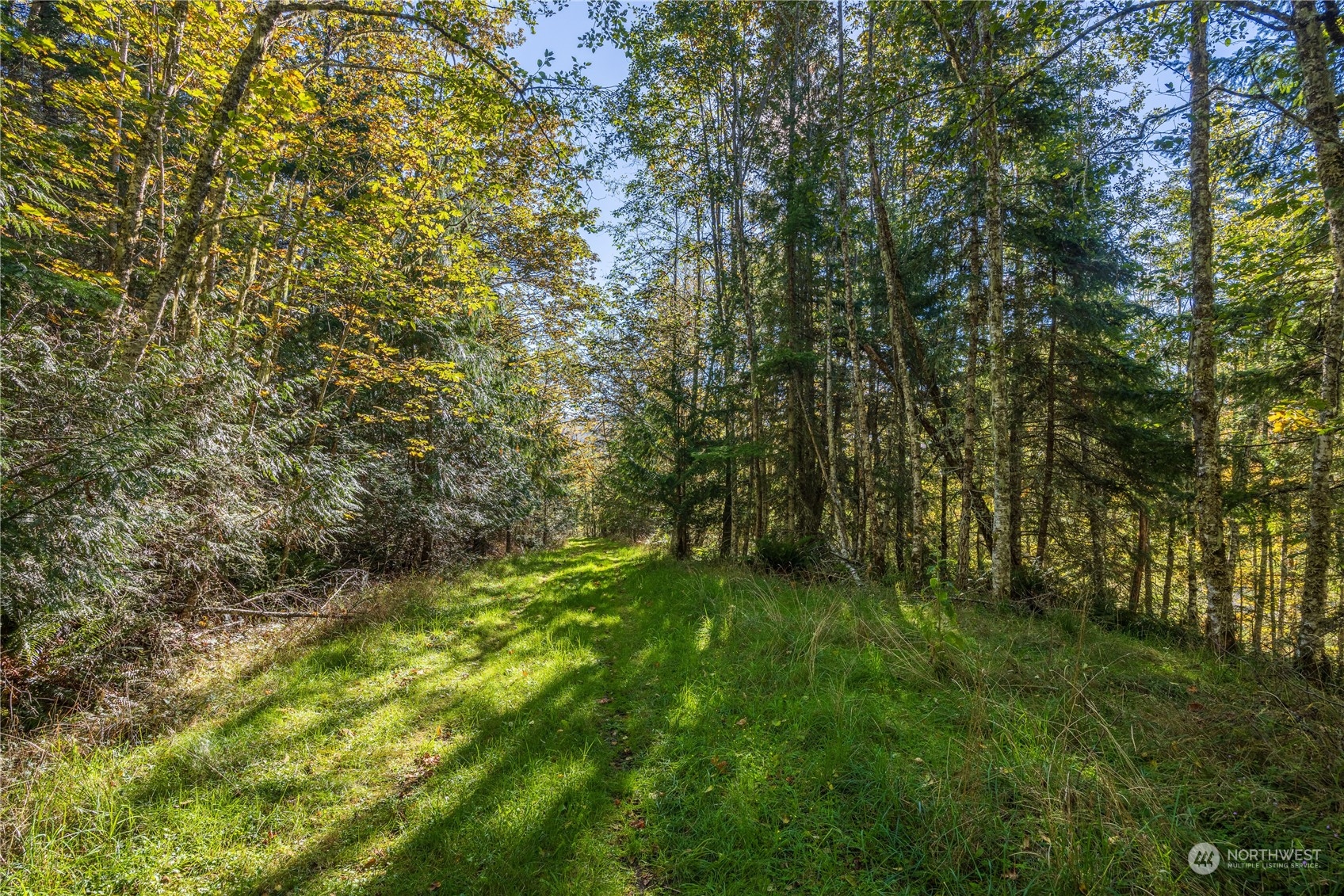 -nka Mt Pleasant Road Port Angeles, WA 98362 - Photo 25 of 31 Gallery Image 25