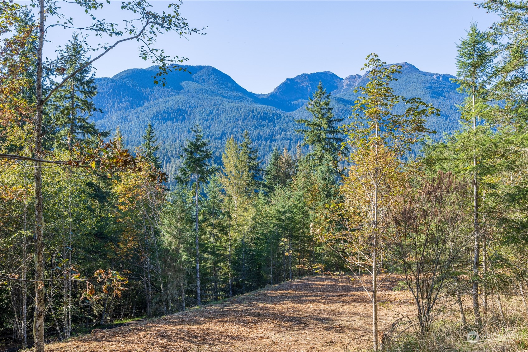 -nka Mt Pleasant Road Port Angeles, WA 98362 - Photo 3 of 31 Gallery Image 3