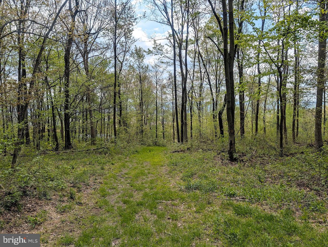 119 Heavens Vw Road Schellsburg, PA 15559 - Photo 29 of 35