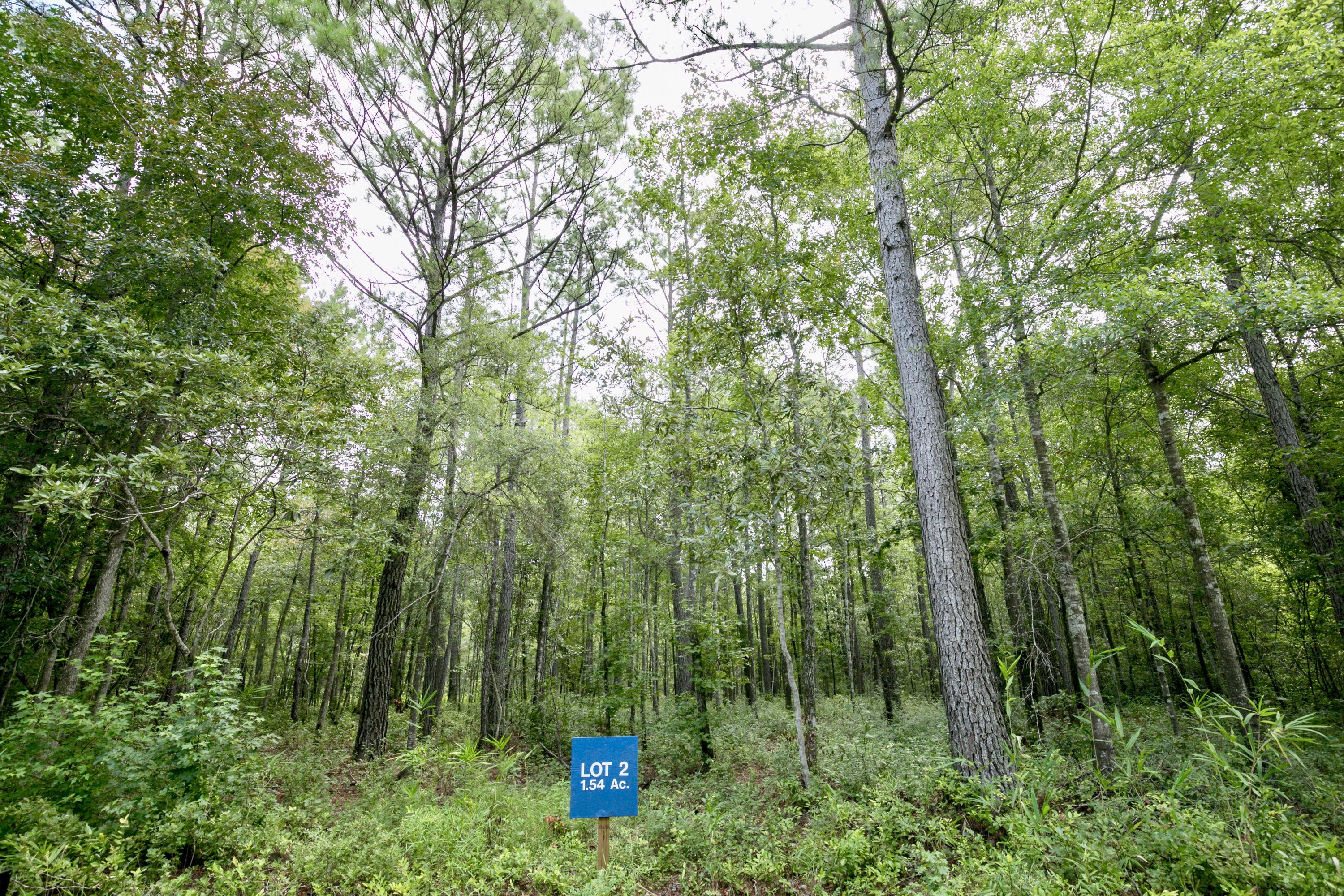 Lot 2 White Road Awendaw, SC 29429 - Photo 1 of 15 fullsizeoutput_7b5